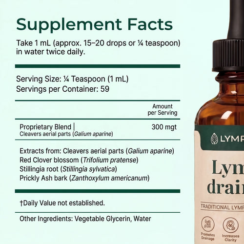Lymphoria (EN)